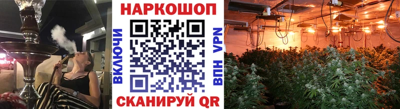 Наркотические вещества Оха Каннабис СК ГАШ Меф