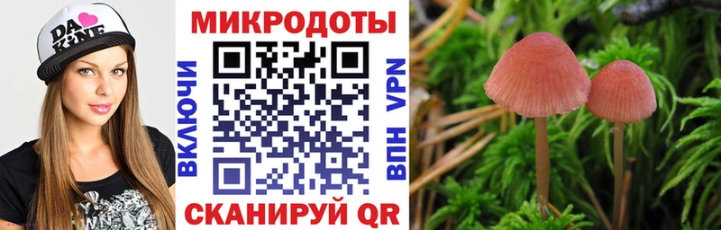 Псилоцибиновые грибы мицелий где найти наркотики Оха